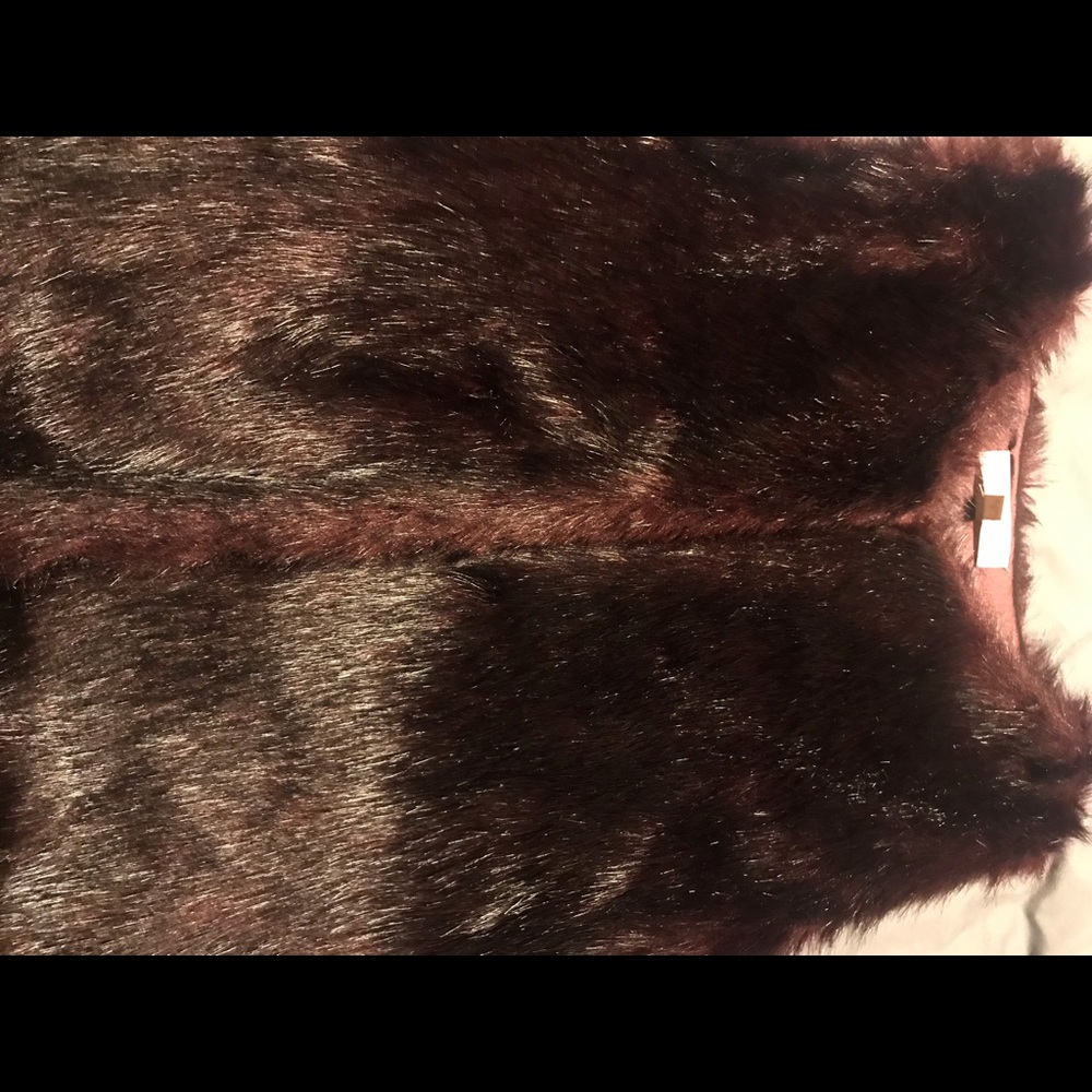 Fur vest worn 2 times.